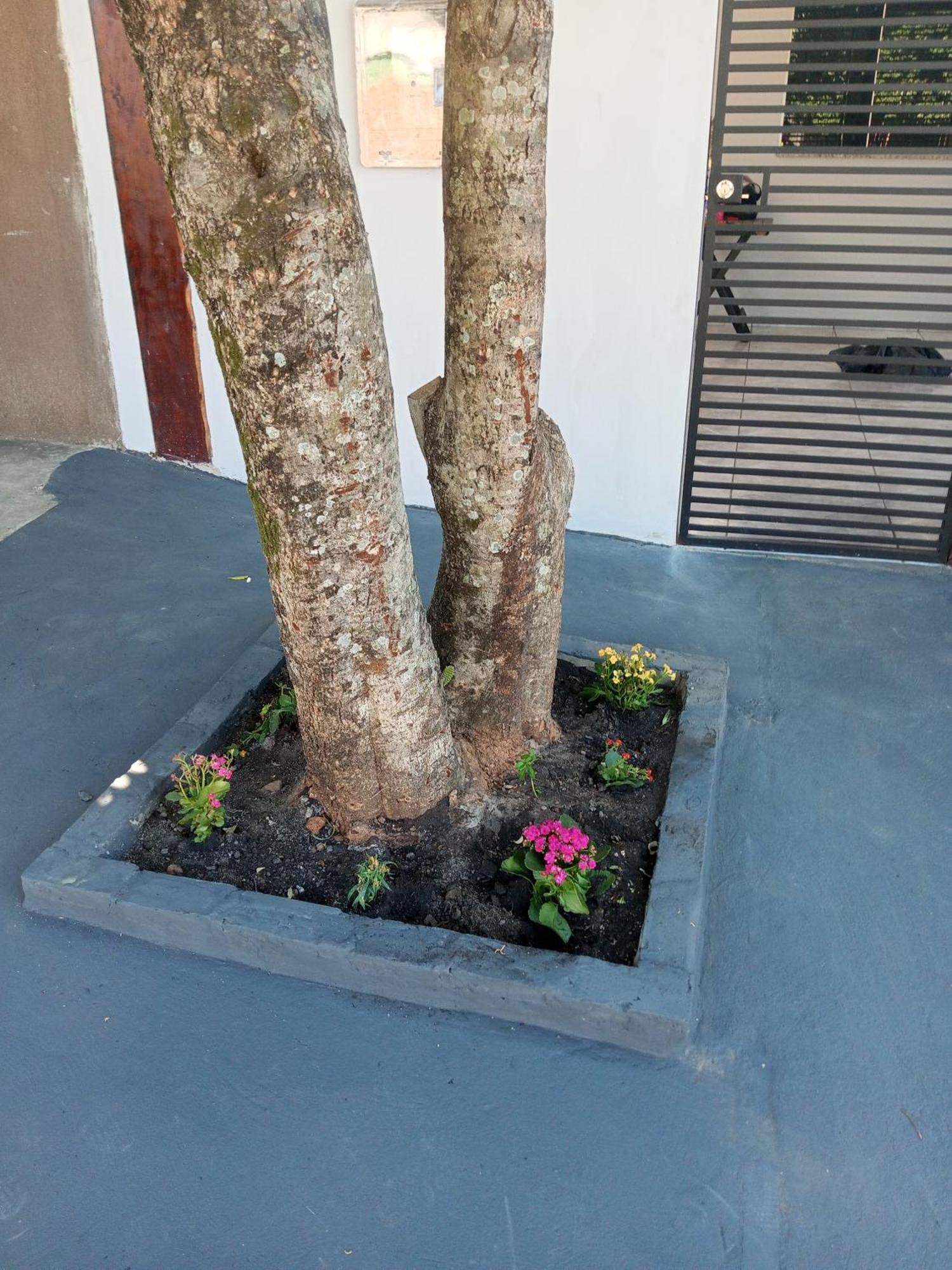Casa Luna Da Boa Vista Bonito  Luaran gambar